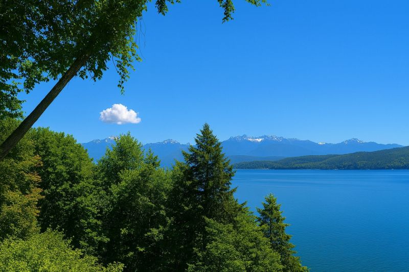 Best Shower Installation pros in Seabeck, WA